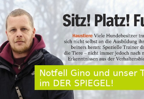 Artikel Spiegel